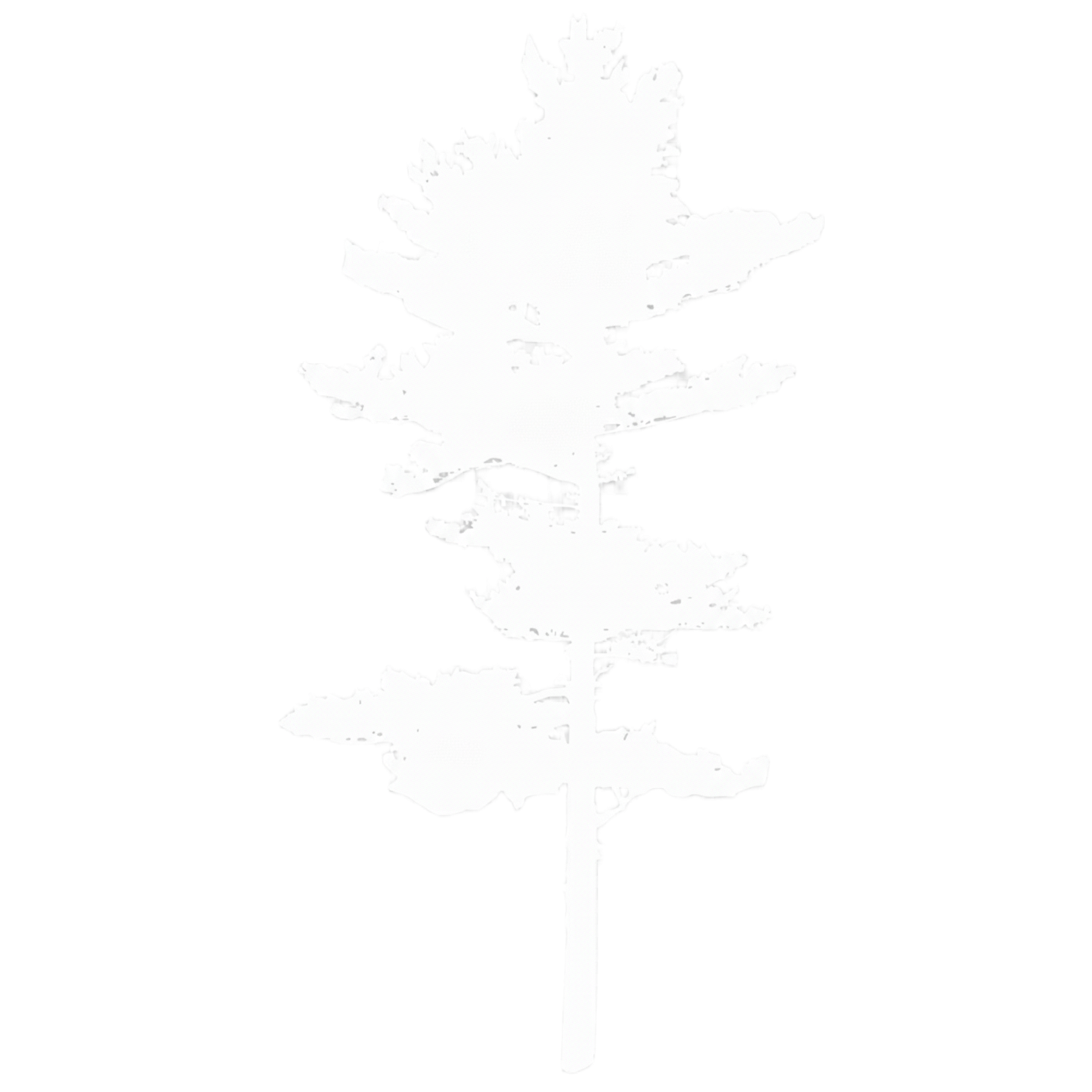 PIAI Logo